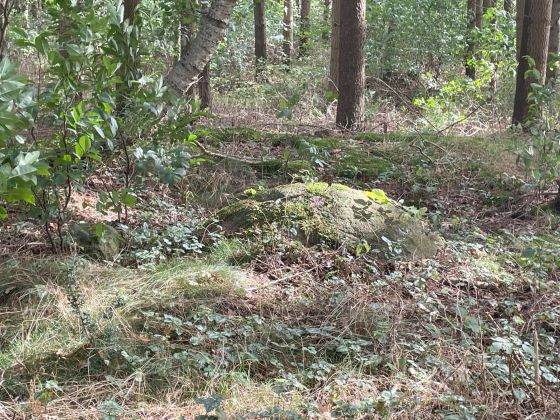 Wachtum (Chambered Tomb)