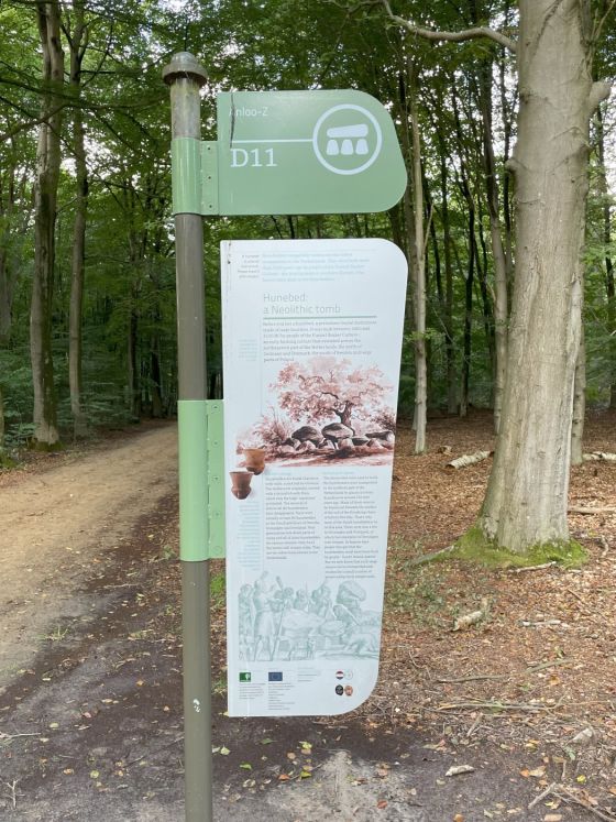 D11 Anloo (Hunebed)