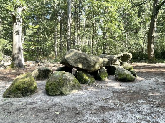 D11 Anloo (Hunebed)