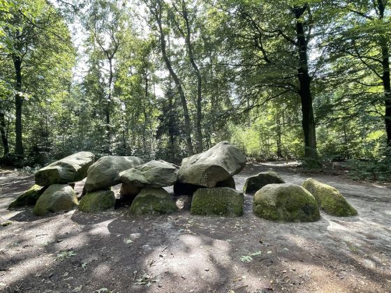 D11 Anloo (Hunebed)