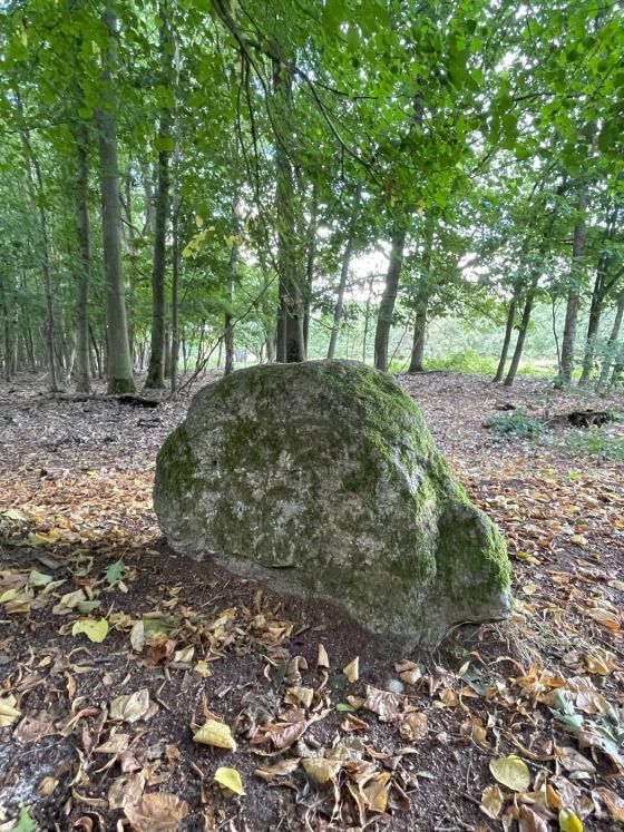 D7 Kniphorstbos (Hunebed)