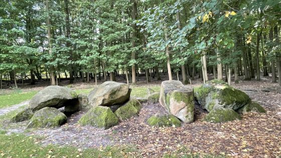 D7 Kniphorstbos (Hunebed)