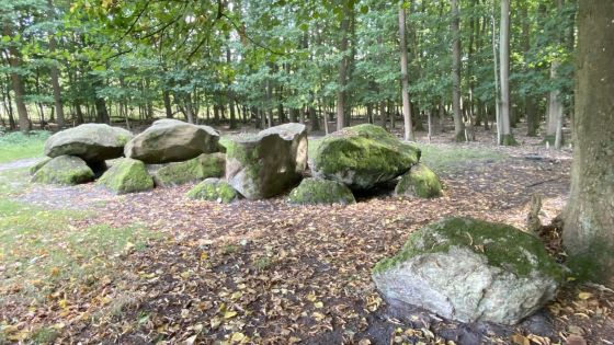 D7 Kniphorstbos (Hunebed)