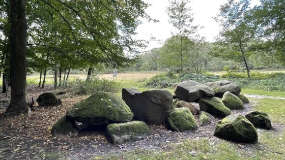 D7 Kniphorstbos (Hunebed)