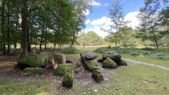 D7 Kniphorstbos (Hunebed)