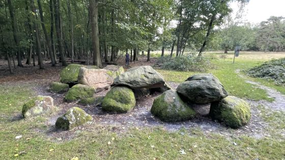 D7 Kniphorstbos (Hunebed)