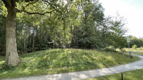 Galgenberg (Strubben-Kniphorstbos) (Round Cairn)