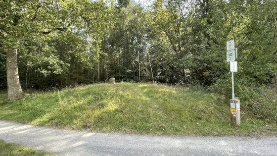Galgenberg (Strubben-Kniphorstbos) (Round Cairn)