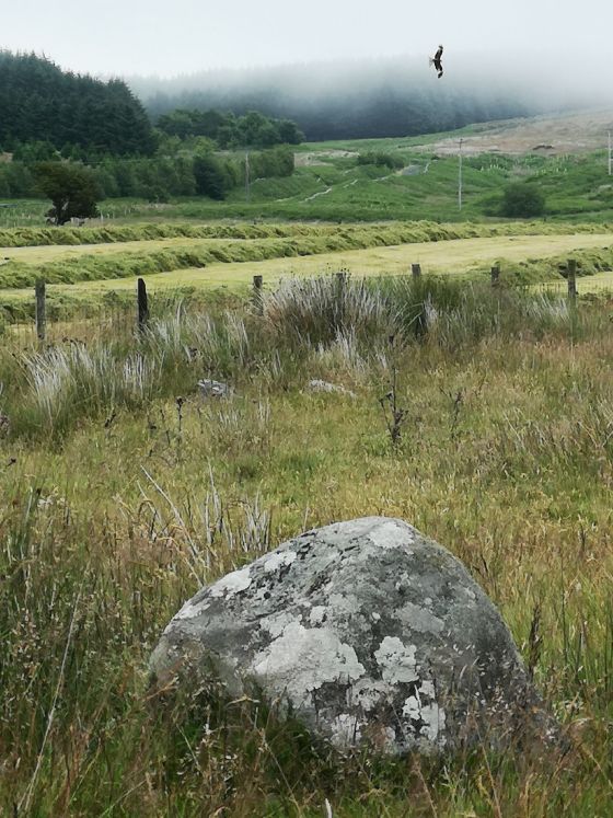 Glenquicken (Stone Circle)