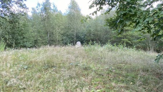 Driemarkenpunt (Round Cairn)