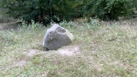 Driemarkenpunt (Round Cairn)