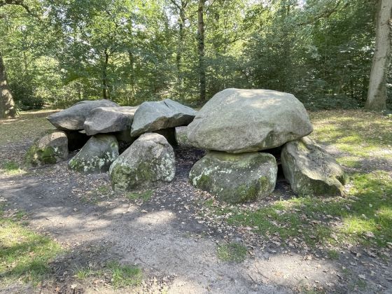 D8 Kniphorstbos (Hunebed)