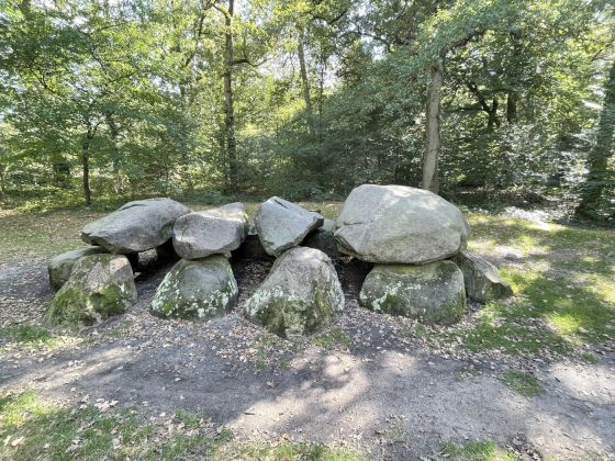 D8 Kniphorstbos (Hunebed)