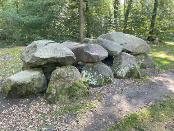 D8 Kniphorstbos (Hunebed)