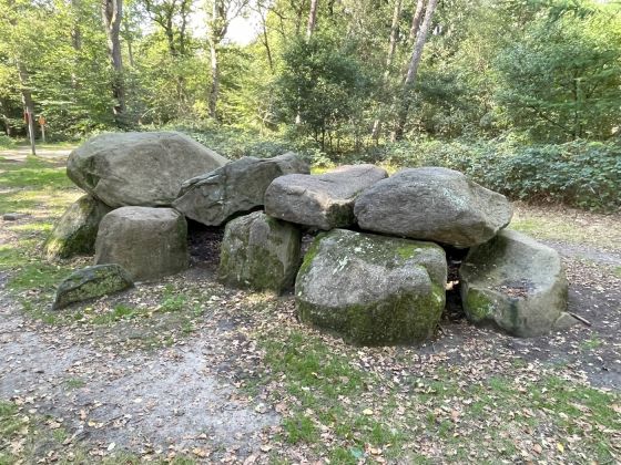 D8 Kniphorstbos (Hunebed)