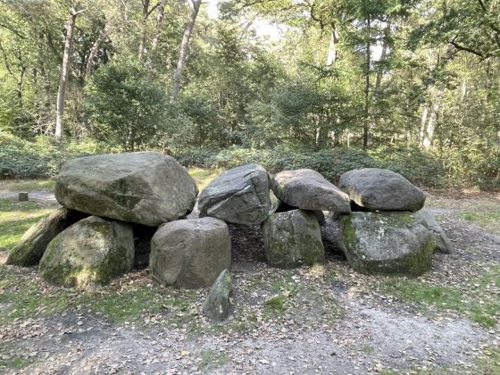 D8 Kniphorstbos (Hunebed)