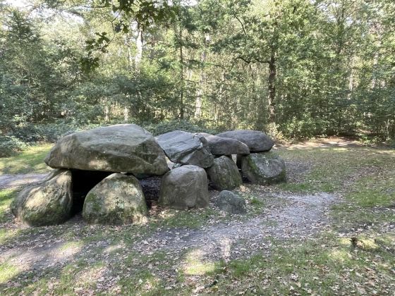 D8 Kniphorstbos (Hunebed)