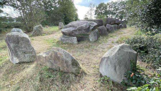 D50 Noord sleen (Hunebed)
