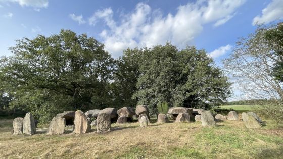 D50 Noord sleen (Hunebed)