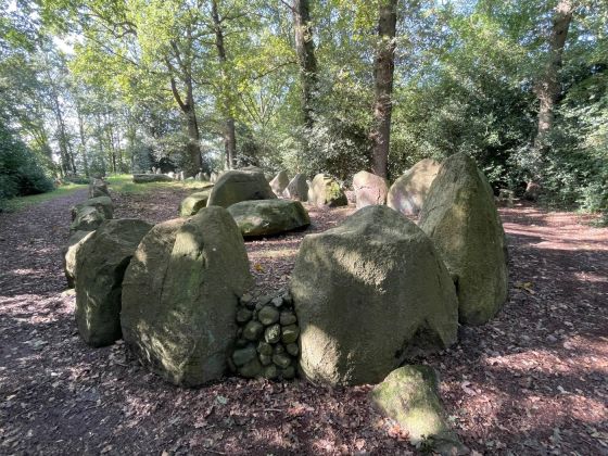D43 Schimeres (Hunebed)