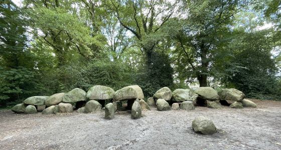 D27 Borger (Hunebed)