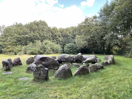 D20 Drouwen (Hunebed)