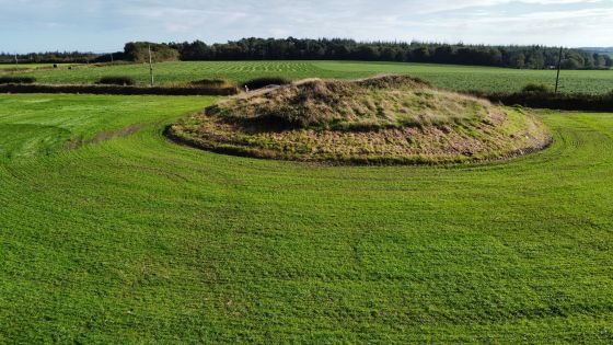 Robin Hood’s Butts South (Otterford) (Round Barrow(s))