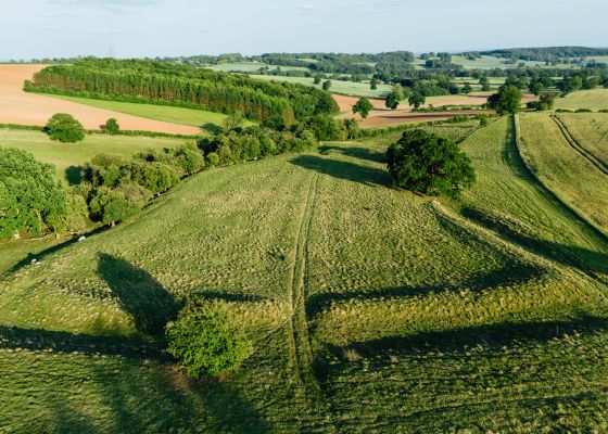 Oldox Camp (Hillfort)