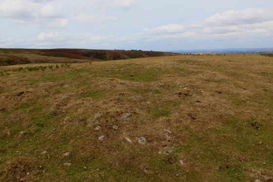 Bodbury Hill (Round Barrow(s))