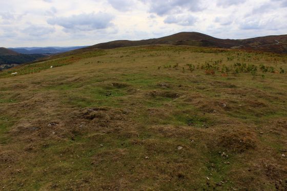 Bodbury Hill (Round Barrow(s))