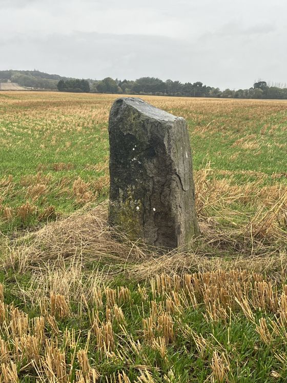 Gogar Stone (Standing Stone / Menhir)