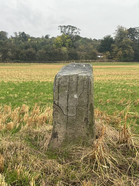 Gogar Stone (Standing Stone / Menhir)