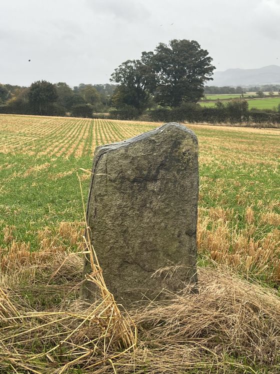 Gogar Stone (Standing Stone / Menhir)