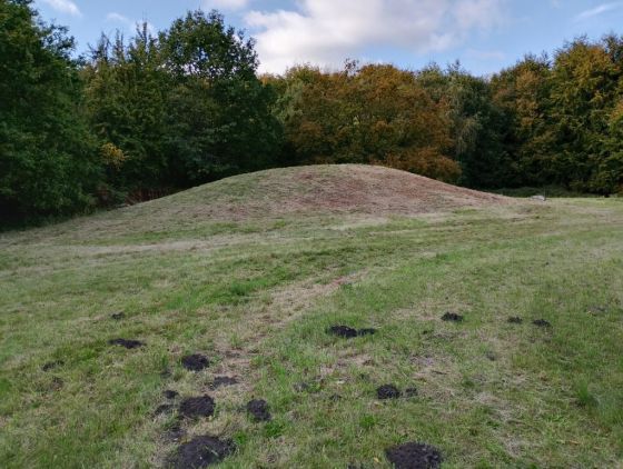 Gammel Hestehave Mound (41179) (Artificial Mound)