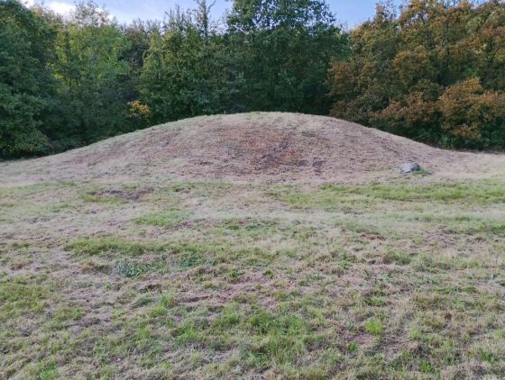 Gammel Hestehave Mound (41179) (Artificial Mound)
