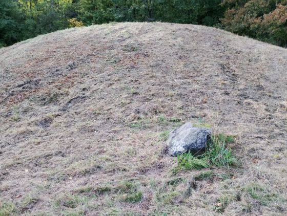 Gammel Hestehave Mound (41179) (Artificial Mound)