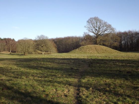 Gammel Hestehave Mound (411710) (Artificial Mound)