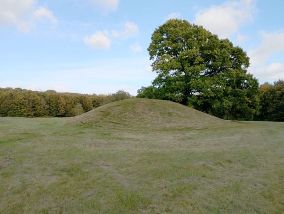 Gammel Hestehave Mound (411710) (Artificial Mound)