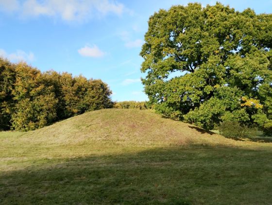 Gammel Hestehave Mound (411710) (Artificial Mound)