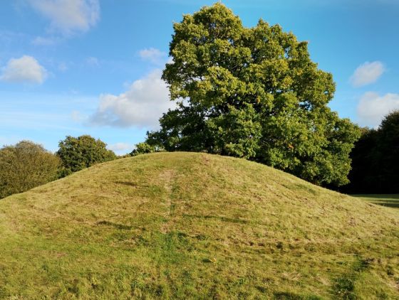 Gammel Hestehave Mound (411710) (Artificial Mound)