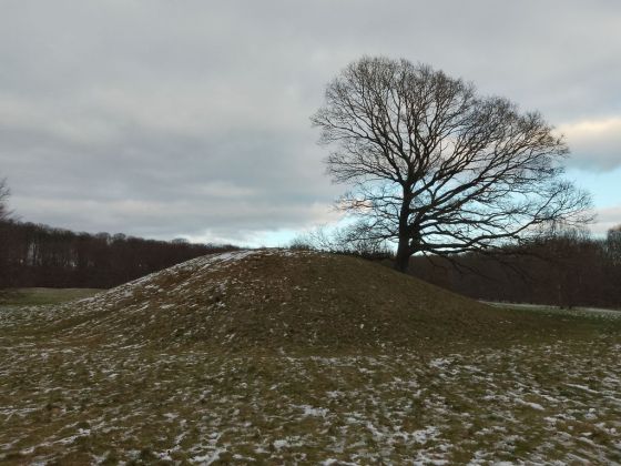 Gammel Hestehave Mound (411710) (Artificial Mound)