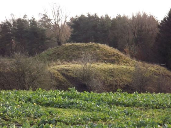 Elmehøj (Signes Høj) (Artificial Mound)