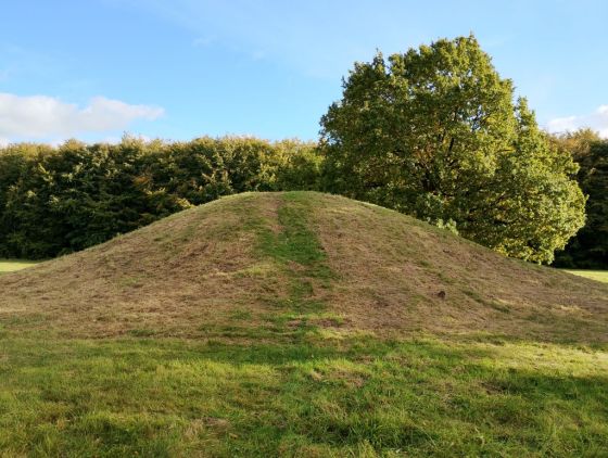 Gammel Hestehave Mound (411712) (Artificial Mound)