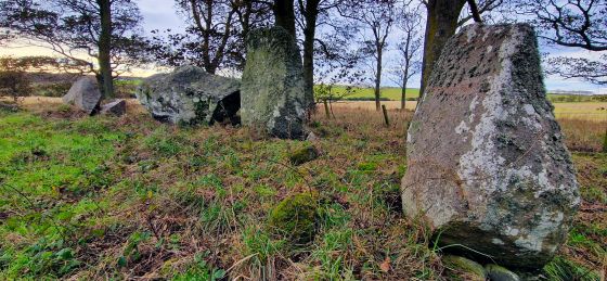 Berrybrae (Stone Circle)