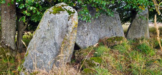 Dunnydeer Farm (Stone Circle)