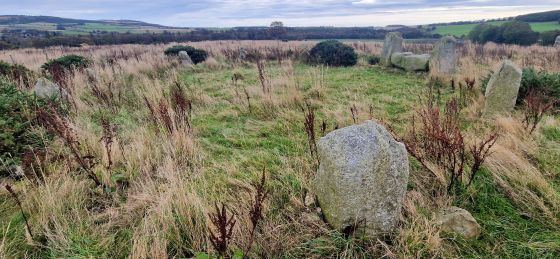 Strichen (Stone Circle)