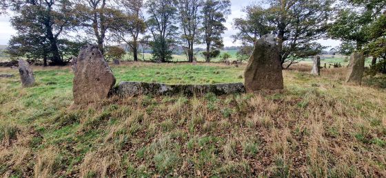 Sunhoney (Stone Circle)