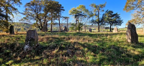 Sunhoney (Stone Circle)