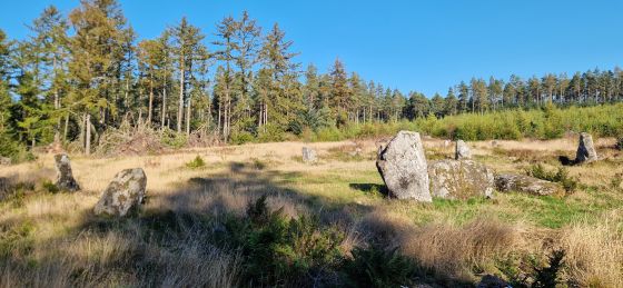 Nine Stanes (Stone Circle)