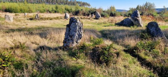 Nine Stanes (Stone Circle)